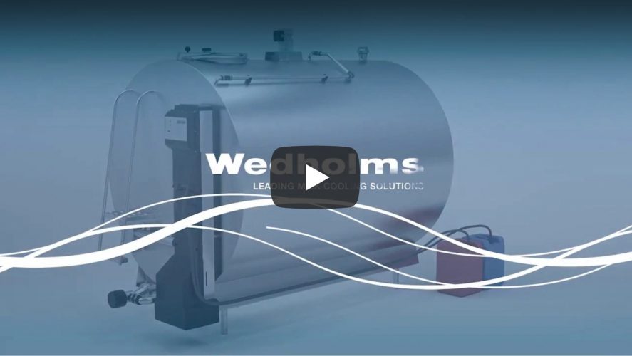 kylmakarki-wedholms-maailman-parhaat-tilasailiot-katso-video
